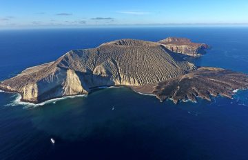 7a6409a35f8223f856dc99651cb33cb1_XL