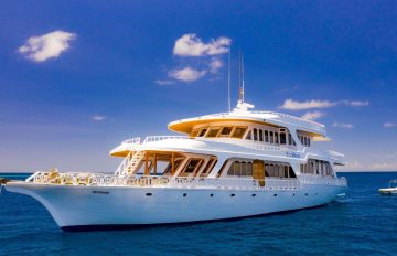 ecoblue boat